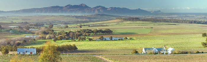 Bein Wine Estate in Stellenbosch, Suedafrika